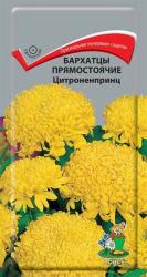 Бархатцы Цитроненпринц прямостоячие (Поиск)