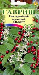 Кофе аравийский карликовый Альберт (Гавриш)