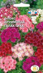 Флокс друммонда Галактика низкорослая смесь (СеДеК)