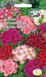 Флокс друммонда Галактика низкорослая смесь (СеДеК)