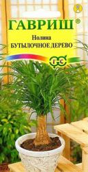 Нолина Бутылочное дерево (Гавриш)