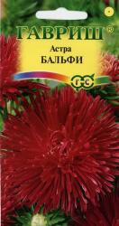 Астра Бальфи (Гавриш)