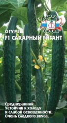 Огурец Сахарный гигант F1 (СеДеК)