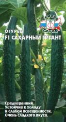 Огурец Сахарный гигант F1 (СеДеК)