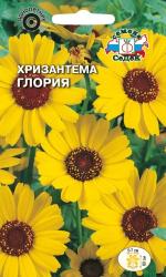 Хризантема однолетняя Глория (СеДеК)