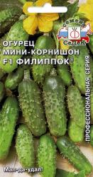 Огурец Филиппок F1 (СеДеК)