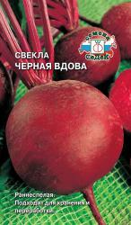 Свекла Черная вдова (СеДеК)