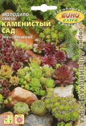 Молодило Каменнистый сад, смесь (Аэлита)