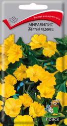 Мирабилис Желтый леденец (Поиск)