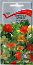 Настурция Аут оф Африка большая (Поиск)