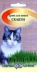 Трава для кошек Cкакун (Гавриш)