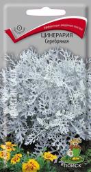 Цинерария (крестовник) Серебряная (Поиск)