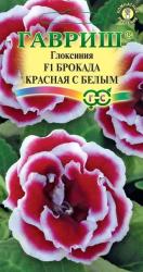 Глоксиния Брокада красная с белым F1 (Гавриш)