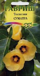 Теспезия Суматра (Гавриш)