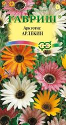 Арктотис Арлекин (Гавриш)