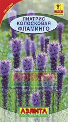 Лиатрис колосковая Фламинго (Аэлита)