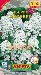 Иберис Айсберг однолетний (Аэлита)