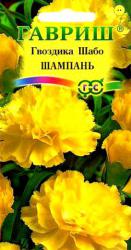 Гвоздика Шабо Шампань двулетняя (Гавриш)