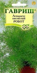 Аспарагус кустистый Робот (Гавриш)