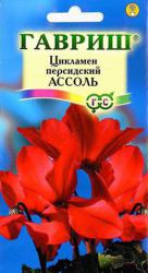 Цикламен персидский Ассоль (Гавриш)