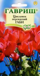 Цикламен Габи персидский мини (Гавриш)