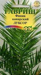 Финик Канарский Луксор (Гавриш)