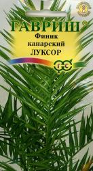 Финик Канарский Луксор (Гавриш)