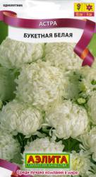 Астра Букетная белая (Аэлита)