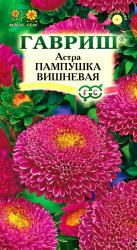 Астра Пампушка вишневая (Гавриш)