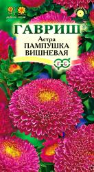 Астра Пампушка вишневая (Гавриш)