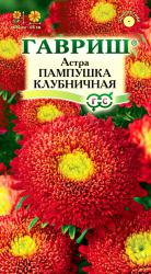 Астра Пампушка клубничная (Гавриш)