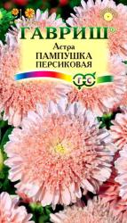 Астра Пампушка персиковая (Гавриш)