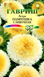 Астра Пампушка сливочная (Гавриш)