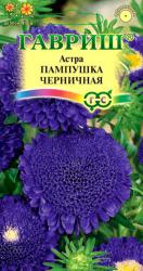 Астра Пампушка черничная (Гавриш)