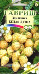Земляника Белая душа (Гавриш) семена