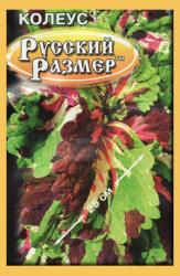 Колеус Русский размер (Русский огород)