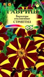 Бархатцы Стриптиз отклоненные (Гавриш)