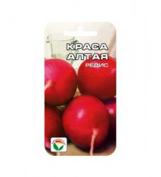 Редис Краса Алтая (Сибирский сад)