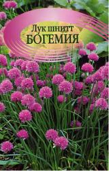 Лук шнитт Богемия (Гавриш)