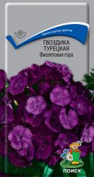 Гвоздика турецкая Фиолетовая гора двулетняя (Поиск)