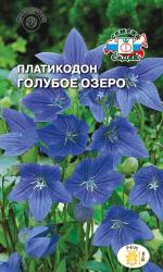 Платикодон Голубое озеро (СеДеК)