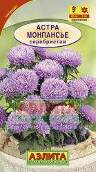 Астра Монпансье серебристая (Аэлита)
