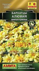 Бархатцы Алюмия ванильно-кремовые (Аэлита)