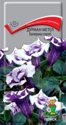 Дурман метел Балерина парпл (Поиск)