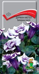 Дурман метел Балерина парпл (Поиск)