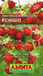 Земляника Ксюша альпийская (Аэлита) семена