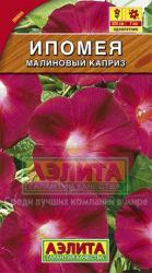 Ипомея Малиновый каприз (Аэлита)