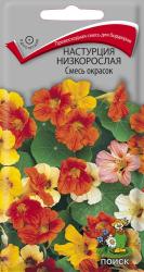 Настурция Низкорослая, смесь (Поиск)