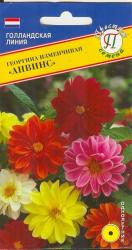 Георгина изменчивая Анвинс (Престиж)