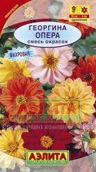 Георгина Опера, смесь (Аэлита)